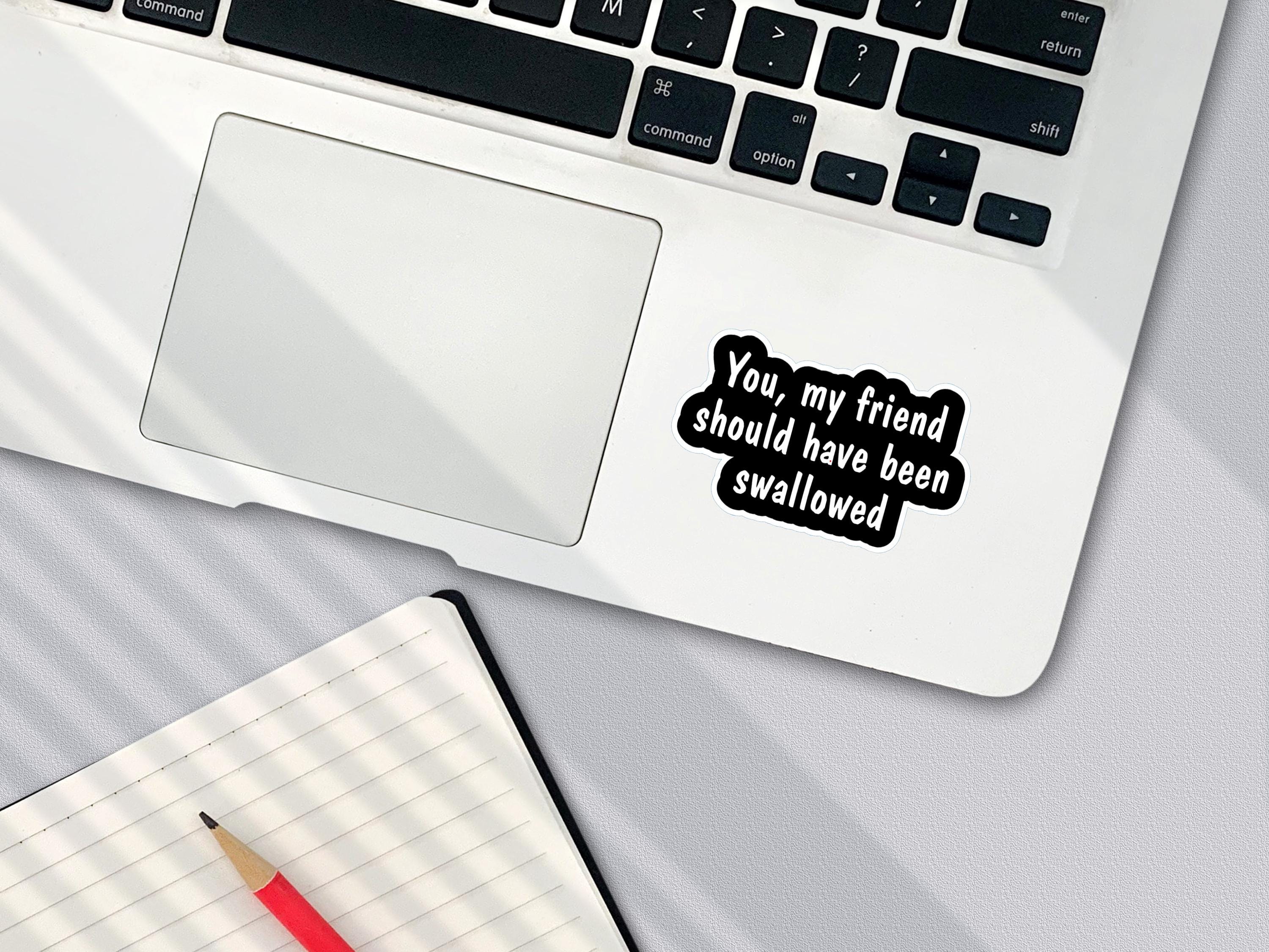 Offensive Humor Sticker, You, My Friend Should Have Been Swallowed