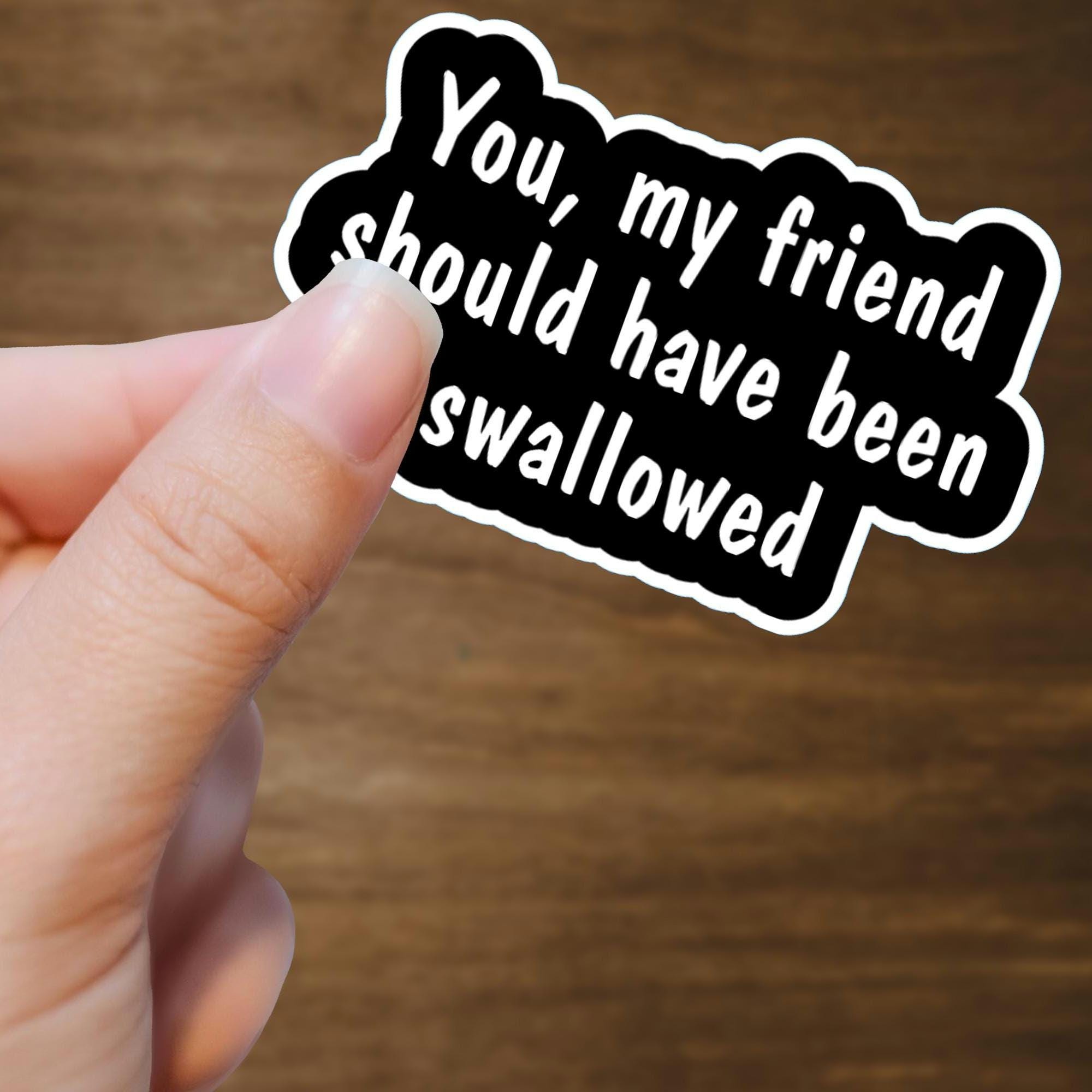 Offensive Humor Sticker, You, My Friend Should Have Been Swallowed