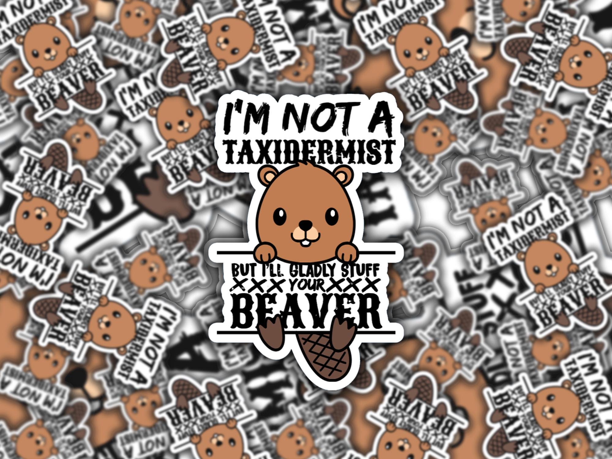 Funny Vulgar Stuff your Beaver Sticker | Adult Humor Laptop Decal