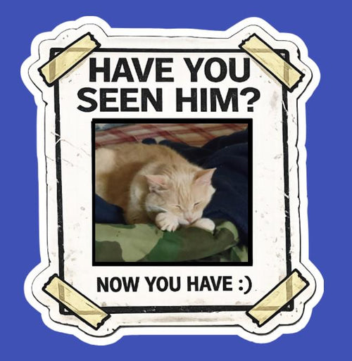 Custom Pet Sticker | Funny "Have You Seen Him?" Cat Dog Portrait Decal